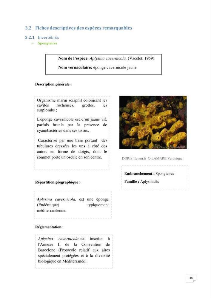 Inventaire de la faune et de la flore marine remarquable des espaces d\'intérêt écologique du secteur Est de la côte Algérienne: