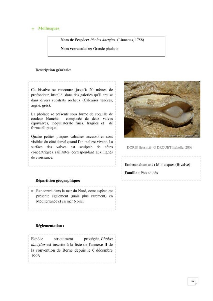 Inventaire de la faune et de la flore marine remarquable des espaces d\'intérêt écologique du secteur Est de la côte Algérienne: