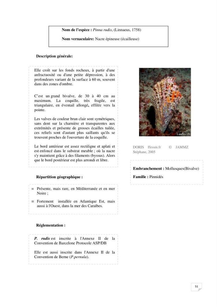 Inventaire de la faune et de la flore marine remarquable des espaces d\'intérêt écologique du secteur Est de la côte Algérienne: