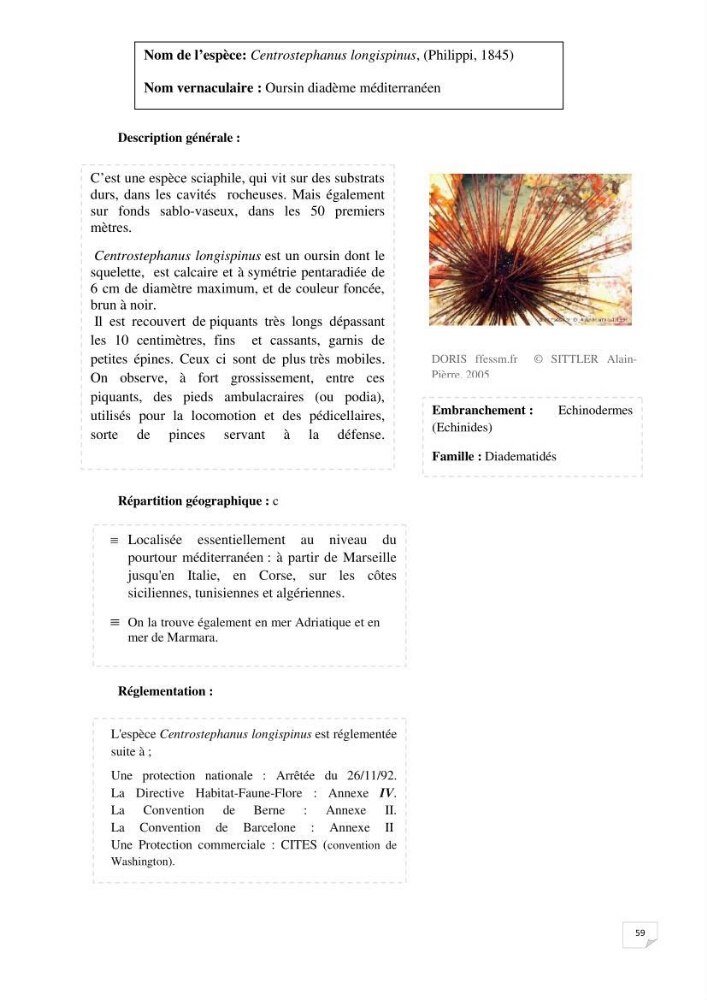 Inventaire de la faune et de la flore marine remarquable des espaces d\'intérêt écologique du secteur Est de la côte Algérienne: