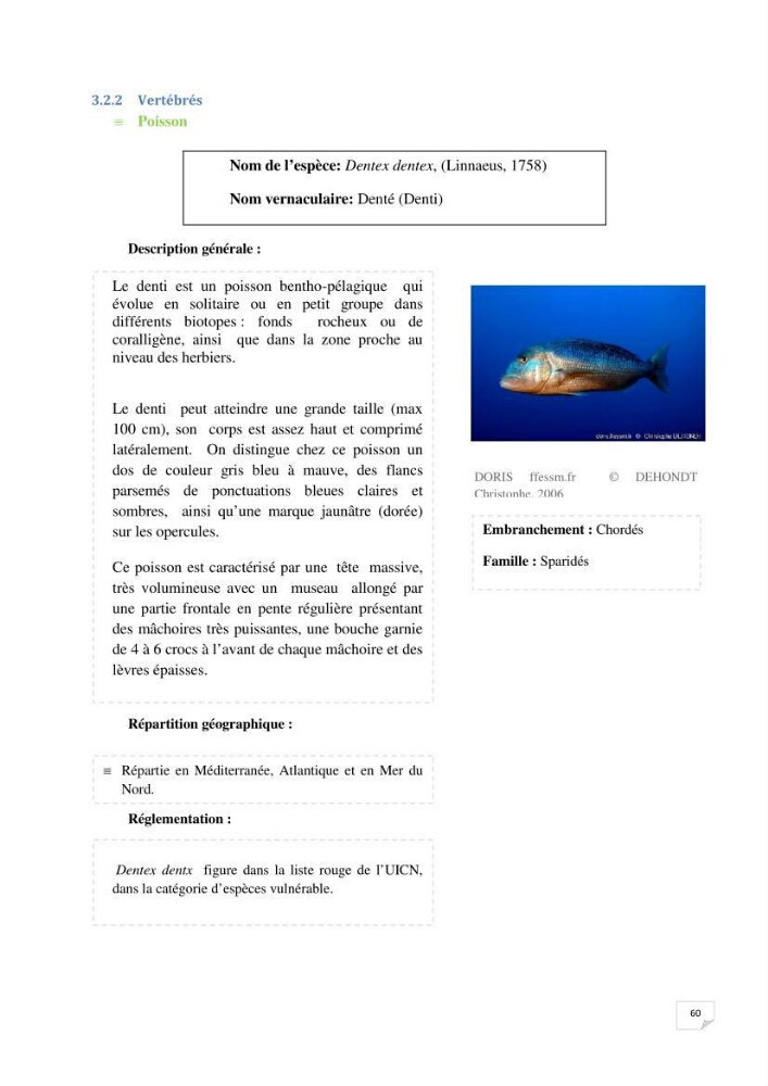 Inventaire de la faune et de la flore marine remarquable des espaces d\'intérêt écologique du secteur Est de la côte Algérienne: