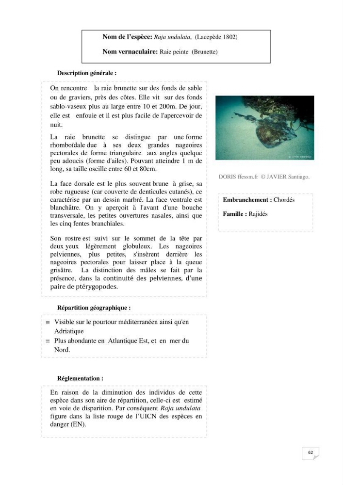 Inventaire de la faune et de la flore marine remarquable des espaces d\'intérêt écologique du secteur Est de la côte Algérienne: