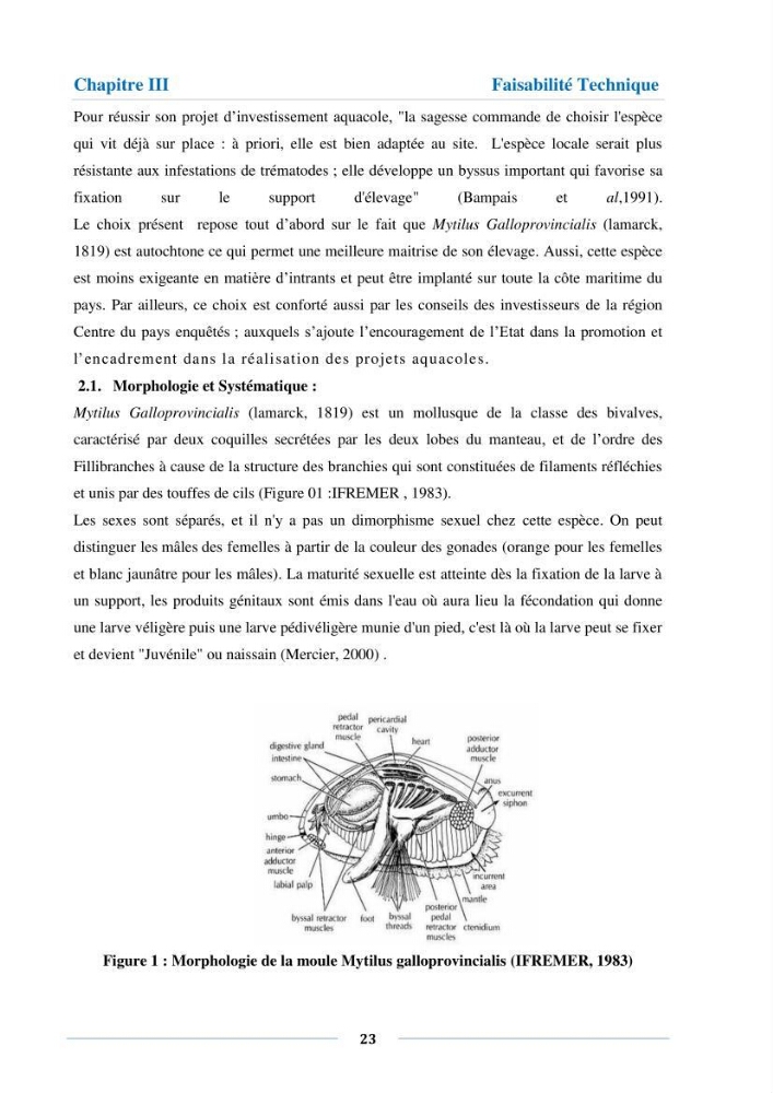 Etude de faisabilité technico-économique d’une ferme conchylicole (Mytilus galloprovincialis (Lamarck, 1819)