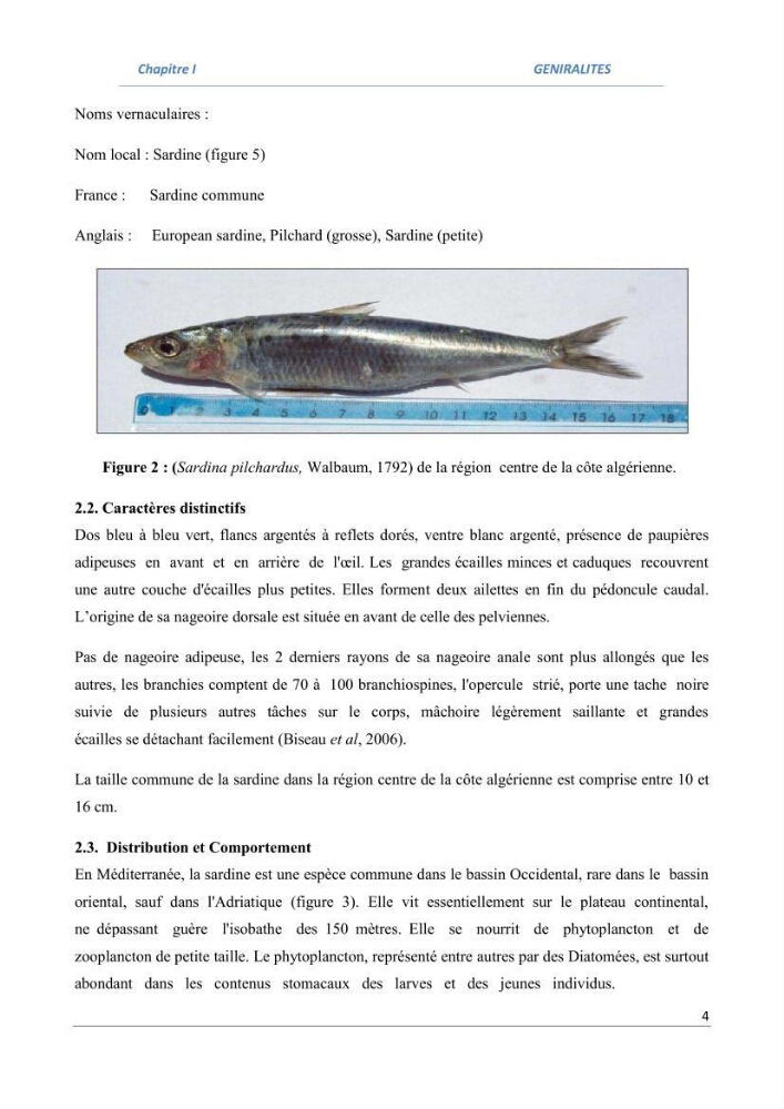 Impact du taux de mortalité totale (Z) sur l\'estimation de la biomasse exploitation de la sardine (Sardina pilchardus Walbaum, 1972) de la région centre de la côte algérienne