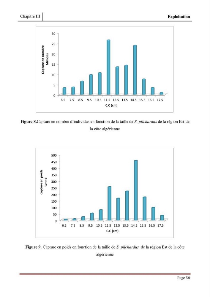 Impact de la variation du taux de mortalité (Z) sur l\'estimation de la biomasse exploitable de sardina pilchardus (Walbaum,1792) de la région Est de la côte Algerienne