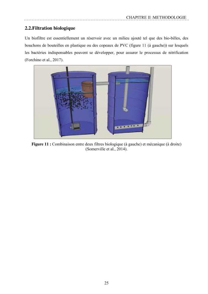 Conception d\'un système d\'élevage en aquaponie