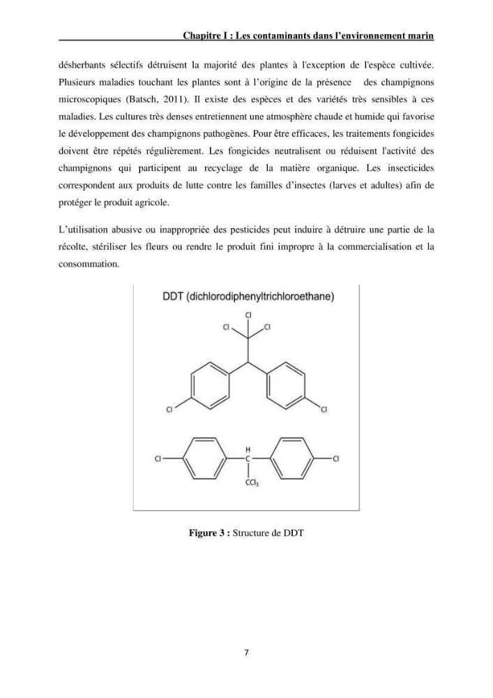 Impact de la pollution sur quelques espèces sédentaires marines