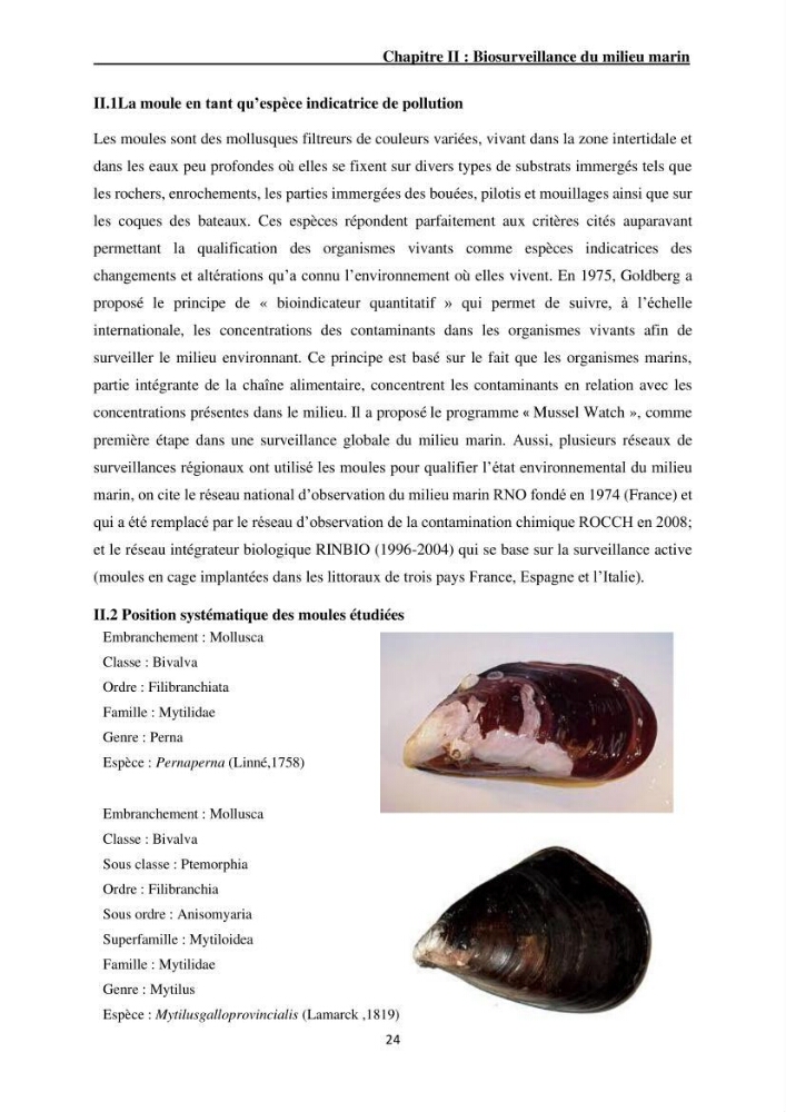 Impact de la pollution sur quelques espèces sédentaires marines