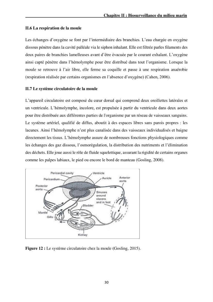 Impact de la pollution sur quelques espèces sédentaires marines