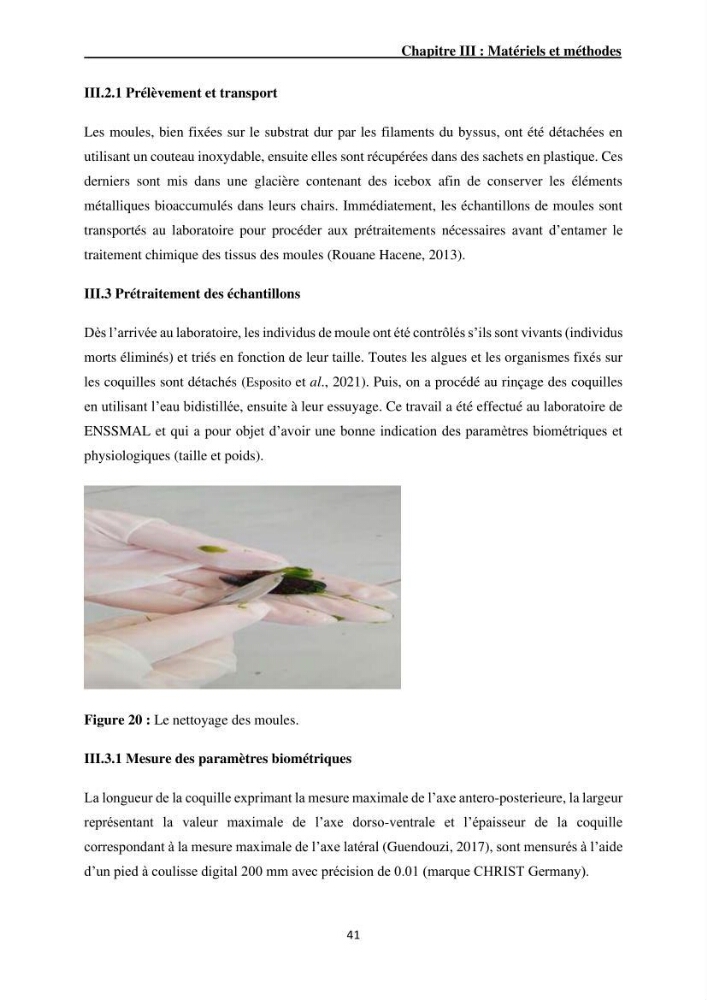Impact de la pollution sur quelques espèces sédentaires marines