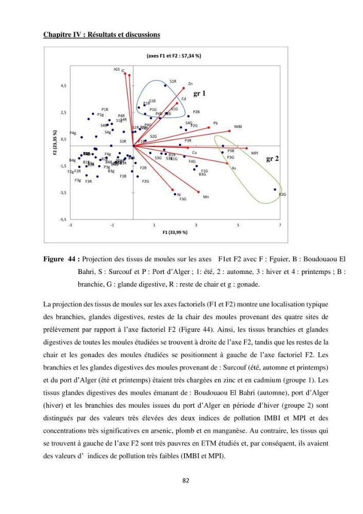 Impact de la pollution sur quelques espèces sédentaires marines