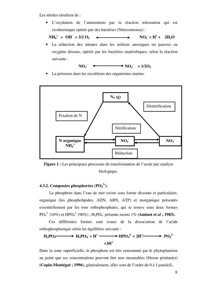 Qualité physico-chimique, sels nutritifs et bactériologique dans la baie de Bou-Ismail et le port de Bou-Haroun
