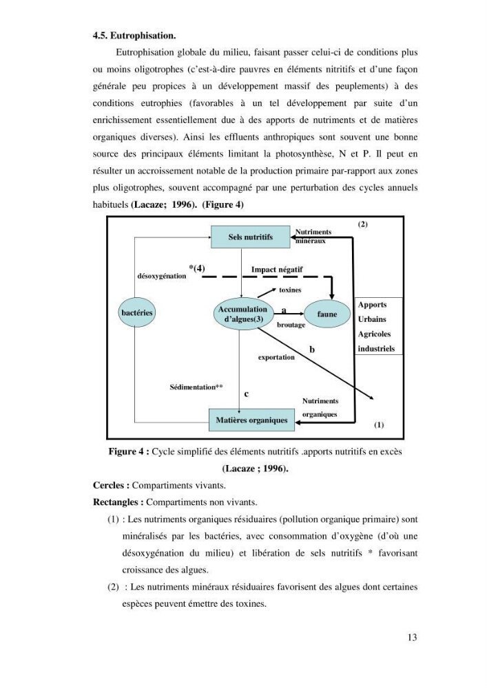Qualité physico-chimique, sels nutritifs et bactériologique dans la baie de Bou-Ismail et le port de Bou-Haroun