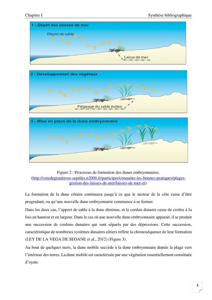 Etude de l\'évolution surfaçique et volumétrique du cordon dunaire d\'El Kadous ( commune de Heraoua):