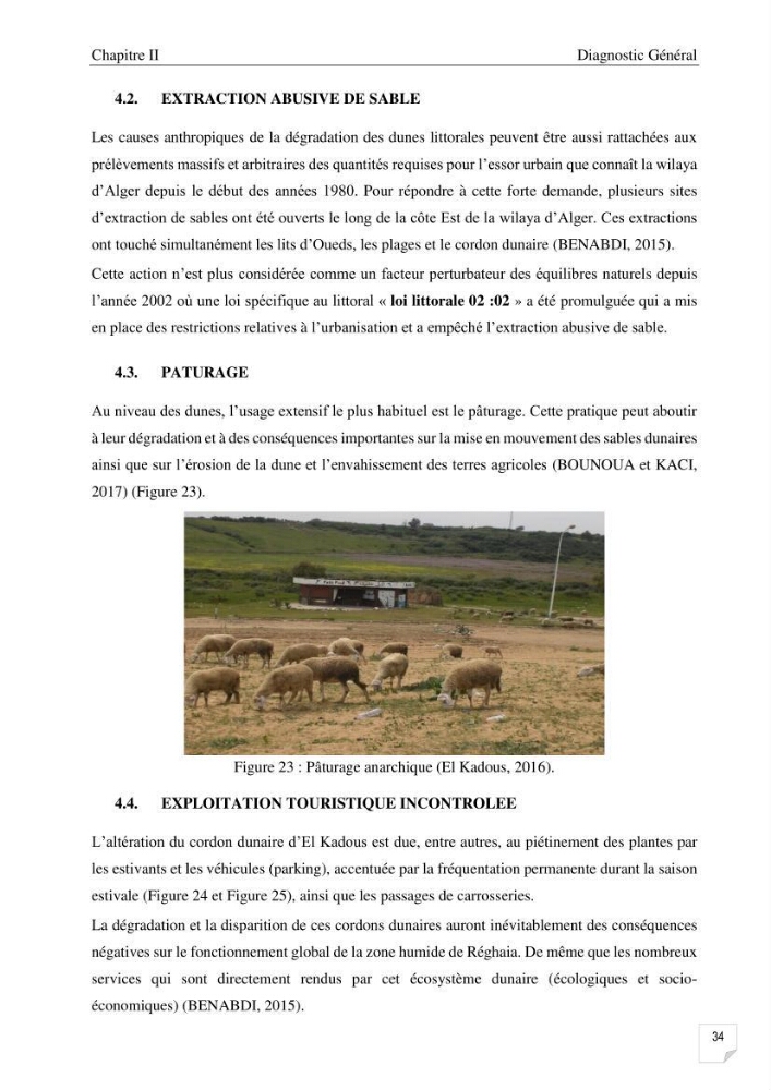 Etude de l\'évolution surfaçique et volumétrique du cordon dunaire d\'El Kadous ( commune de Heraoua):
