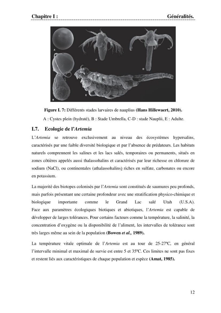 Determination d\'une partie de la flore bactérienne associee aux cystes d\'ARTEMIA (Leach 1819):