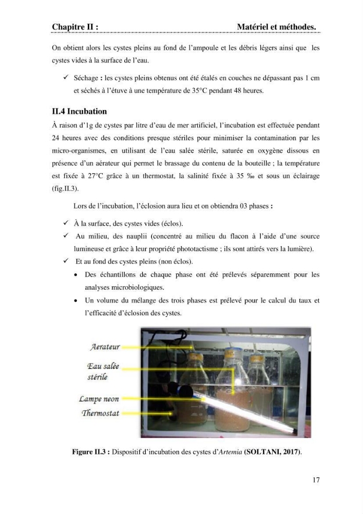 Determination d\'une partie de la flore bactérienne associee aux cystes d\'ARTEMIA (Leach 1819):