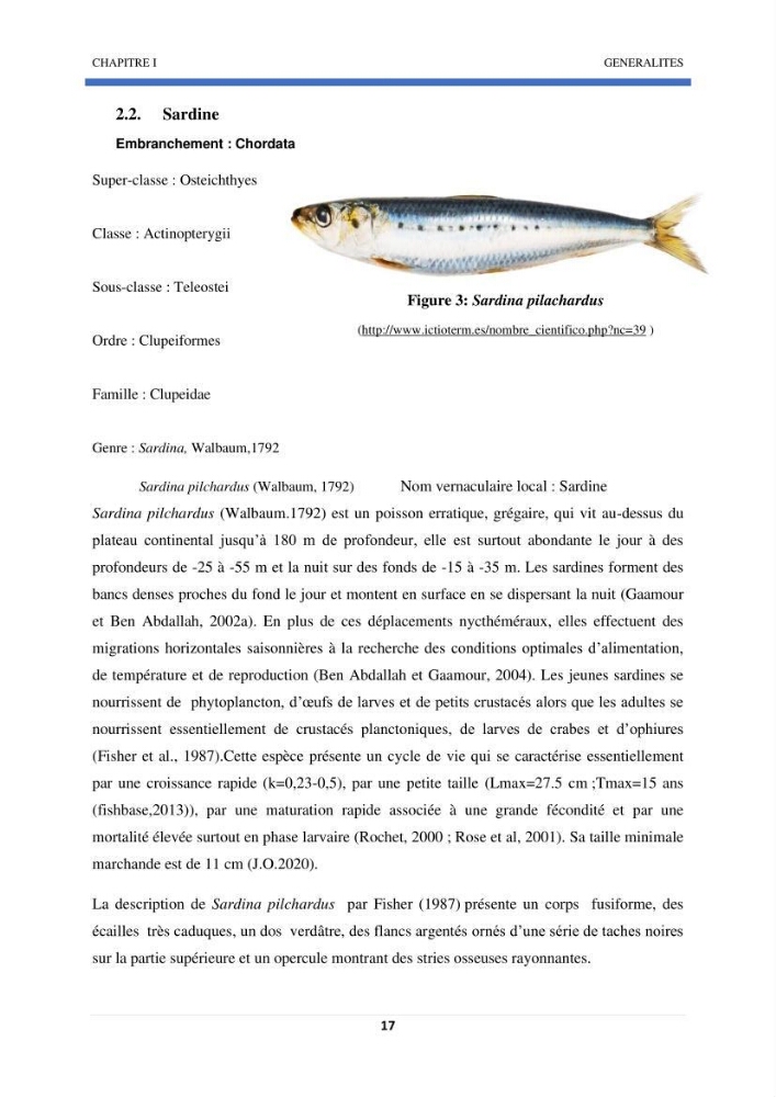 Approche sur l’impact de la température de surface sur l’efficacité Approche sur l’impact de la température de surface sur l’efficacité de la flottille sardinière de Zemmouri (Willaya de Boumerdes):
