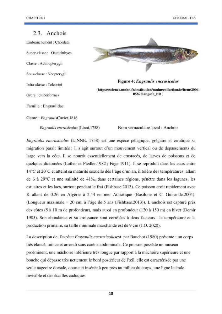 Approche sur l’impact de la température de surface sur l’efficacité Approche sur l’impact de la température de surface sur l’efficacité de la flottille sardinière de Zemmouri (Willaya de Boumerdes):