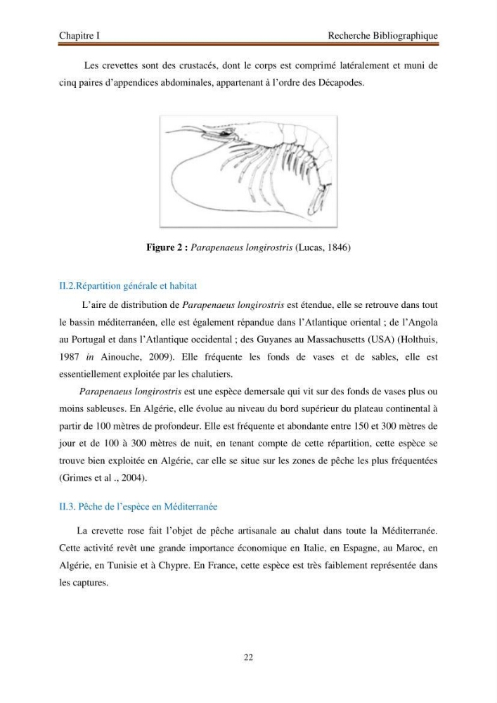 Extraction de biopolymères chitineux d\'intérêt pharmacologique à partir de sous-produits de la pêche