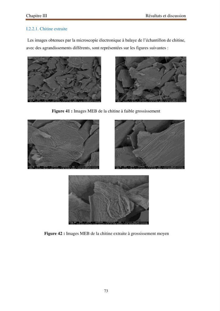 Extraction de biopolymères chitineux d\'intérêt pharmacologique à partir de sous-produits de la pêche