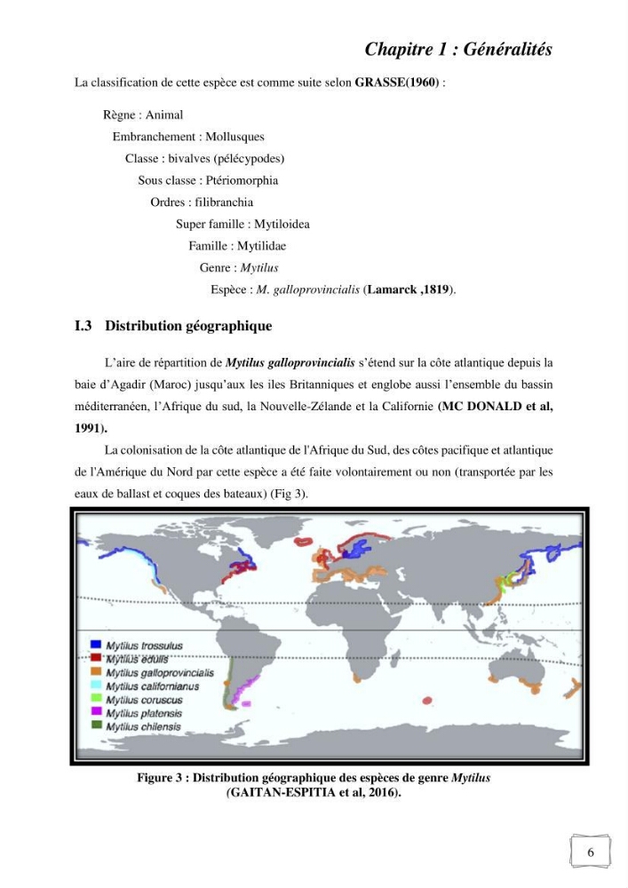 Etude des performances de croissance d\'un élevage myliticole mytilus galloprovincialis ( Lamarck,1819) Ain Taya (Alger):