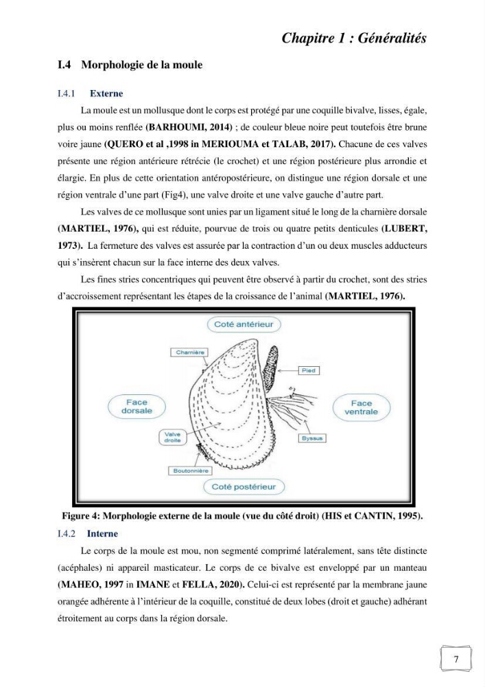 Etude des performances de croissance d\'un élevage myliticole mytilus galloprovincialis ( Lamarck,1819) Ain Taya (Alger):
