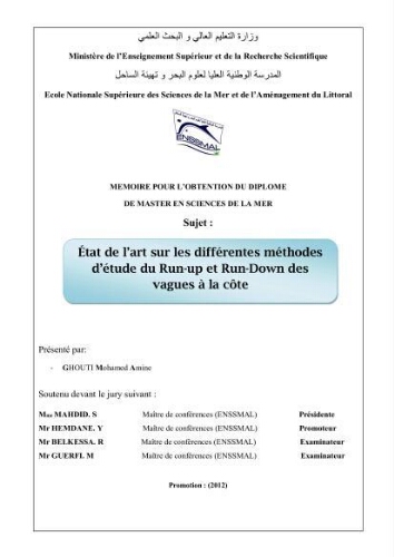 Etat de l'art sur les différentes méthodes d'étude du Run-up et Run-Down des vagues à la côte: Etat de l'art sur les différentes méthodes d'étude du Run-up et Run-Down des vagues à la côte: