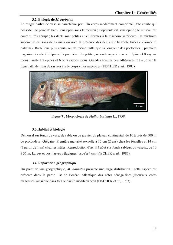 Contribution à l’étude de la croissance et de l’exploitation du gobie noir Gobius niger L., 1758 (Actinopterygii, Perciformes) du golfe de Béjaïa