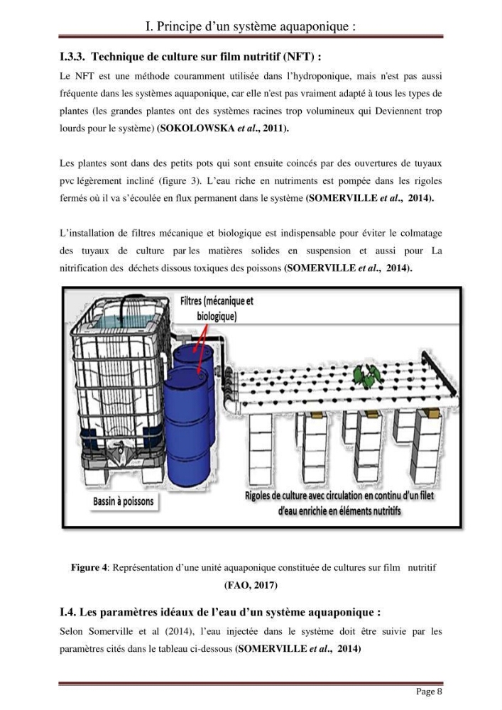 Mise en place d\'un élevage en aquaponie: