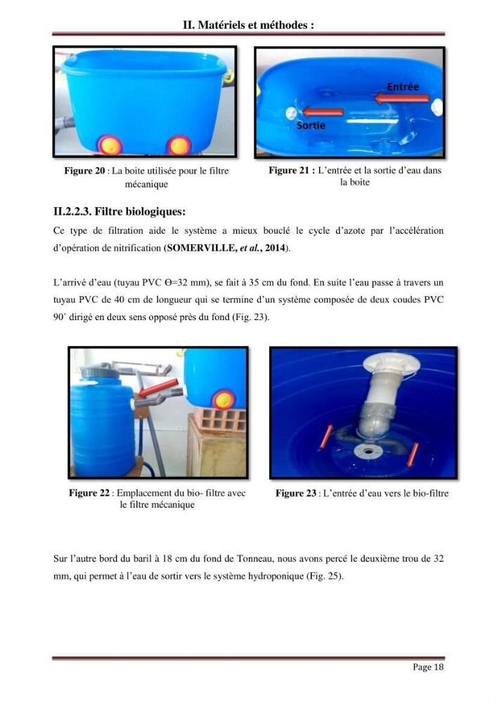 Mise en place d\'un élevage en aquaponie: