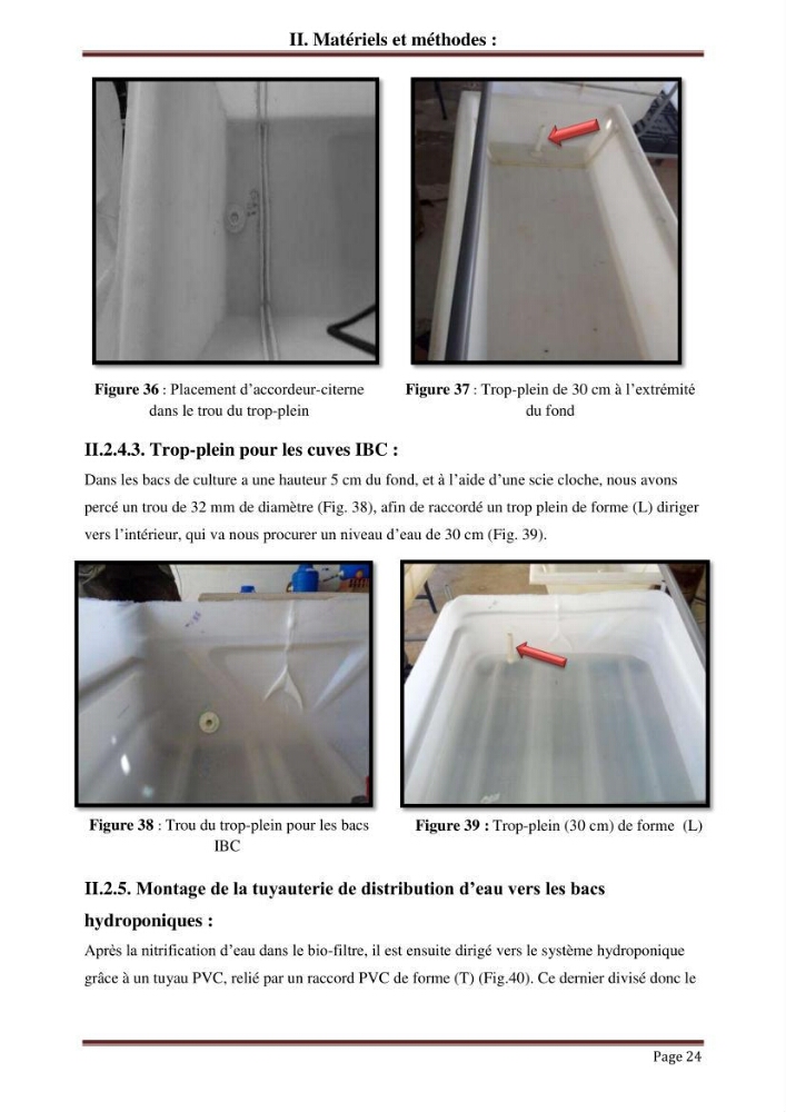 Mise en place d\'un élevage en aquaponie: