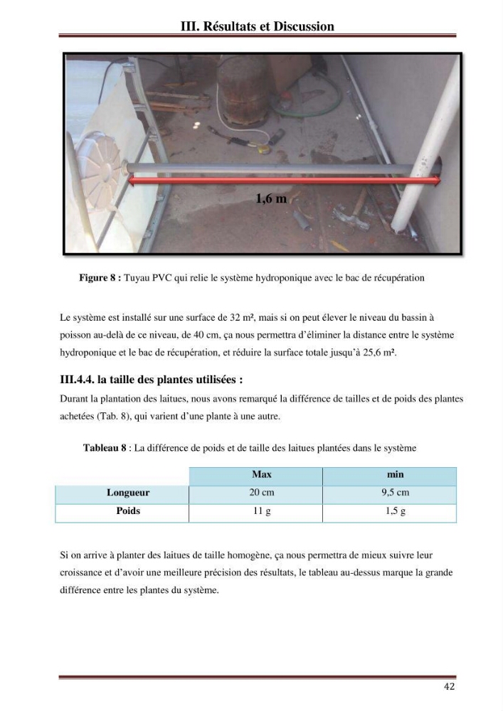 Mise en place d\'un élevage en aquaponie: