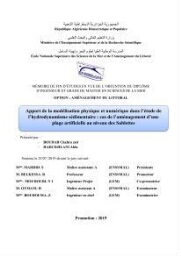 Apport de la modélisation physique et numérique dans l’étude de l’hydrodynamisme sédimentaire : cas de l’aménagement d’une plage artificielle au niveau des Sablettes