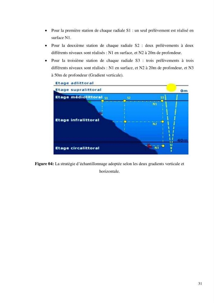 Dynamique et diversité du peuplement phytoplanctonique de la baie de Bou-Ismail.