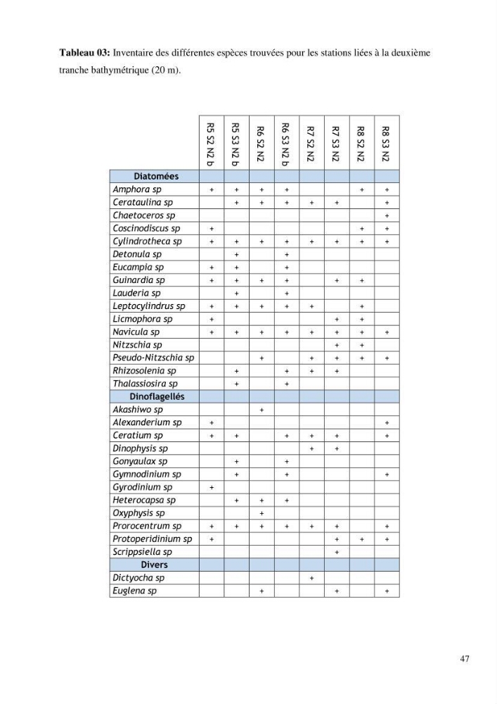 Dynamique et diversité du peuplement phytoplanctonique de la baie de Bou-Ismail.
