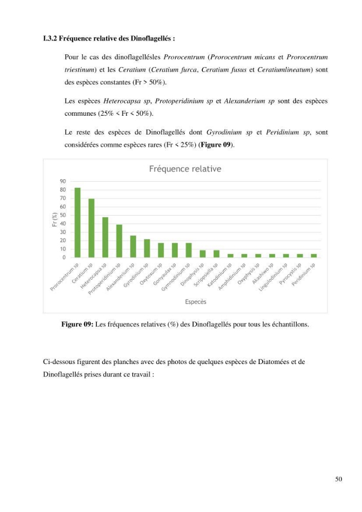 Dynamique et diversité du peuplement phytoplanctonique de la baie de Bou-Ismail.