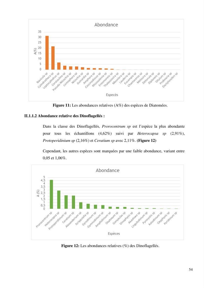 Dynamique et diversité du peuplement phytoplanctonique de la baie de Bou-Ismail.
