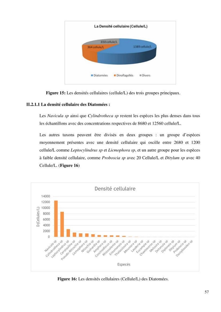 Dynamique et diversité du peuplement phytoplanctonique de la baie de Bou-Ismail.