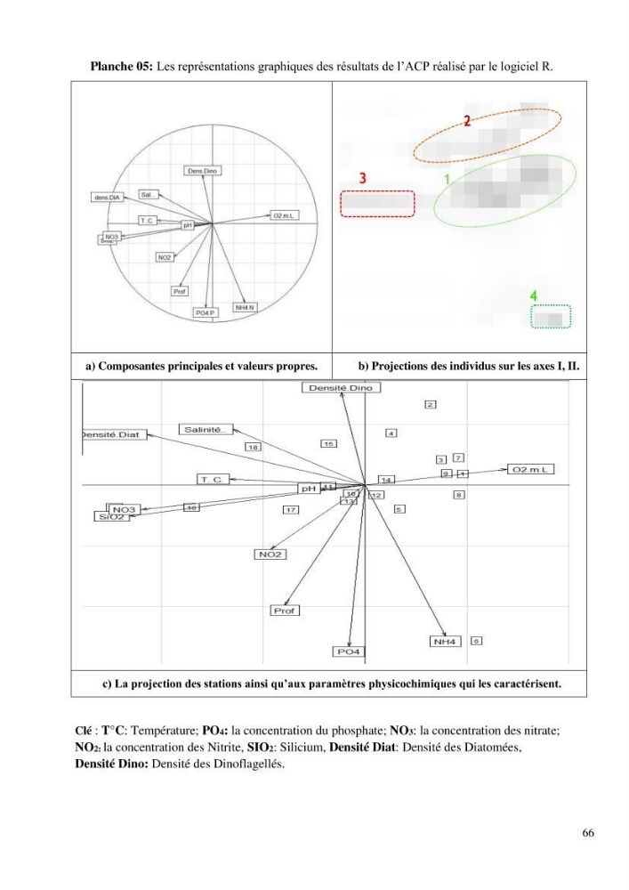 Dynamique et diversité du peuplement phytoplanctonique de la baie de Bou-Ismail.