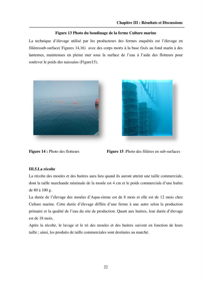 Etude des performances économiques des fermes aquacoles conchylicoles en Algérie: