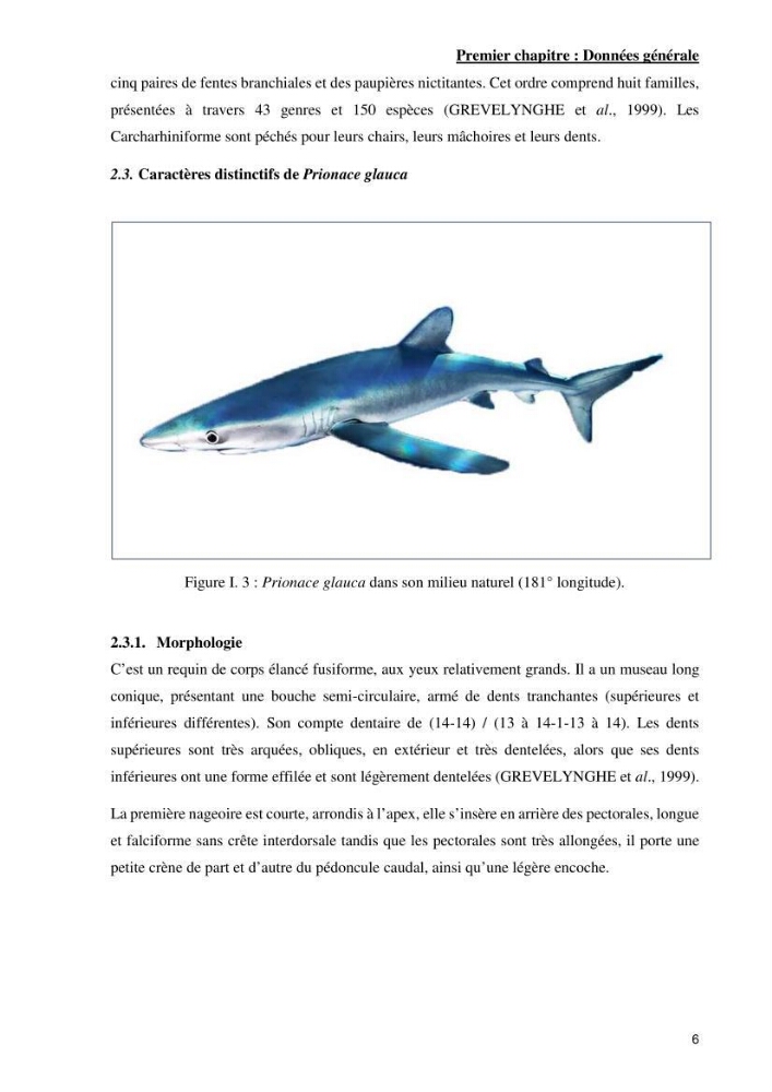 Contribution à l’étude de Prionace glauca (Elasmobranches, Carcharhinidae) dans la région centre