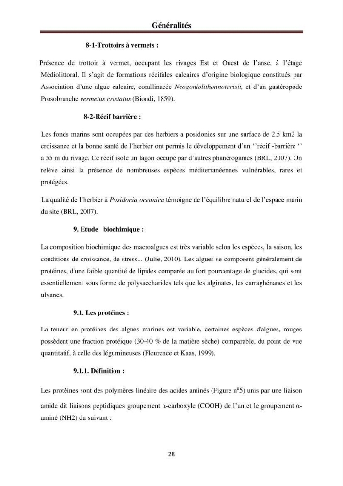 Etude de quelques rhodobiontes de la côte ouest algéroise: biologie, biochimie et valorisation