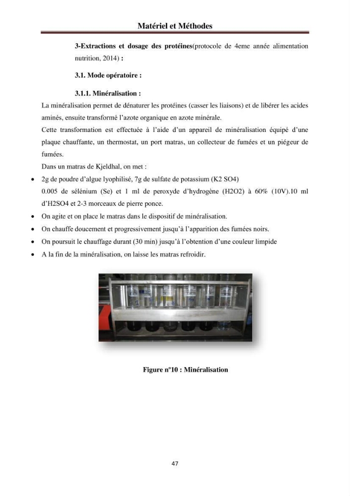 Etude de quelques rhodobiontes de la côte ouest algéroise: biologie, biochimie et valorisation
