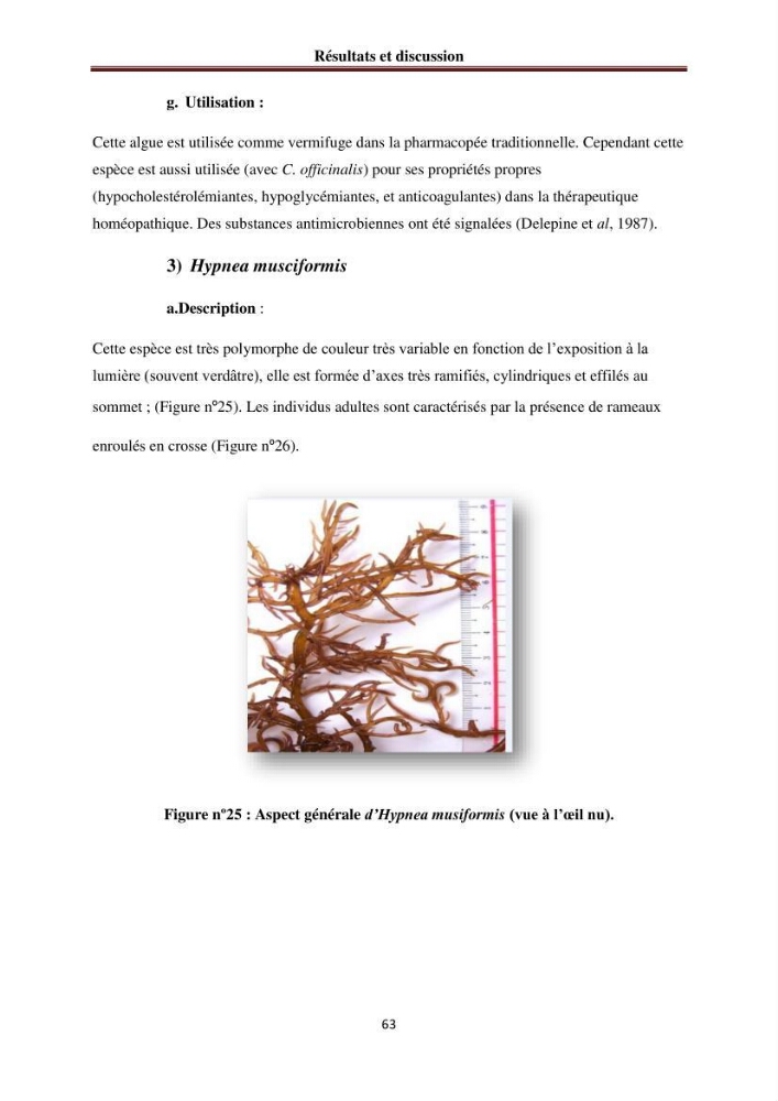 Etude de quelques rhodobiontes de la côte ouest algéroise: biologie, biochimie et valorisation