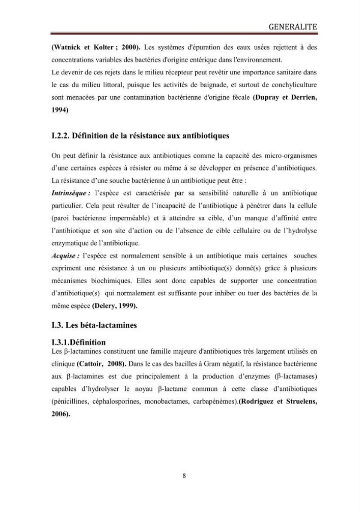 Caractérisation des mécanismes de résistance aux béta-lactamines chez des bactéries à Gram négatif isolées des eaux usées et aux traitées de la STEP de Boumerdes