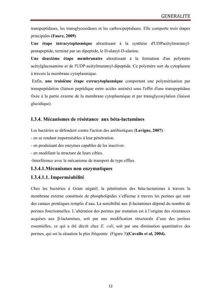 Caractérisation des mécanismes de résistance aux béta-lactamines chez des bactéries à Gram négatif isolées des eaux usées et aux traitées de la STEP de Boumerdes