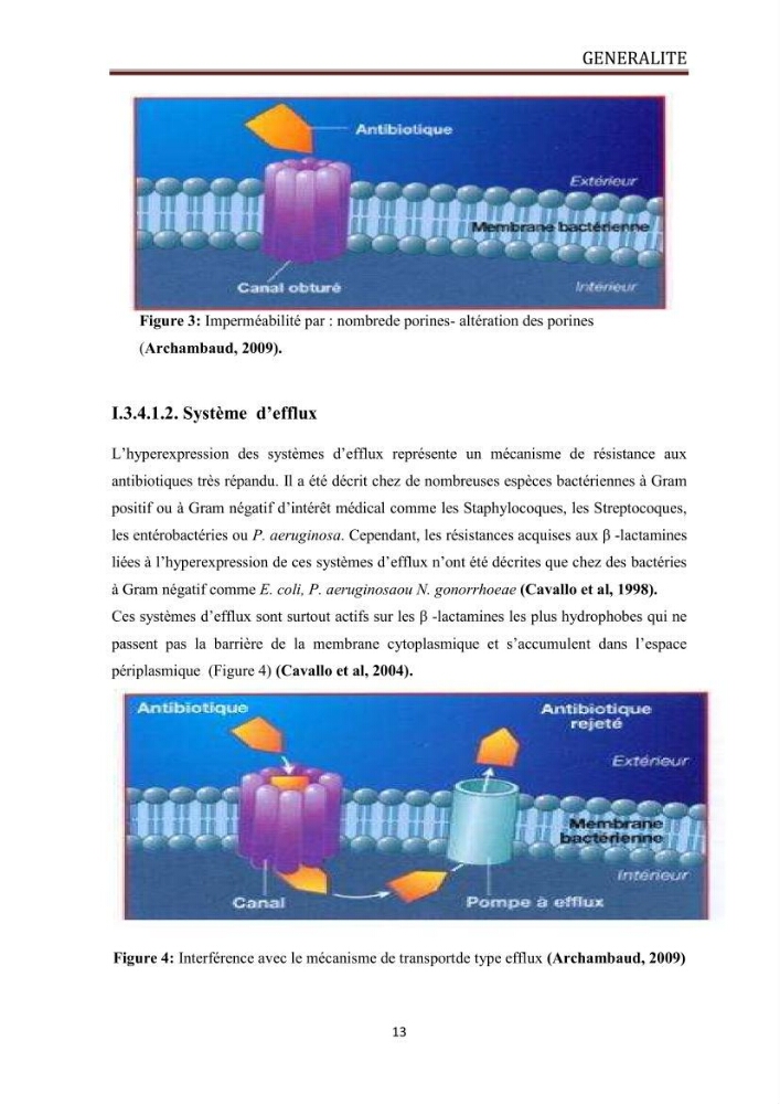 Caractérisation des mécanismes de résistance aux béta-lactamines chez des bactéries à Gram négatif isolées des eaux usées et aux traitées de la STEP de Boumerdes
