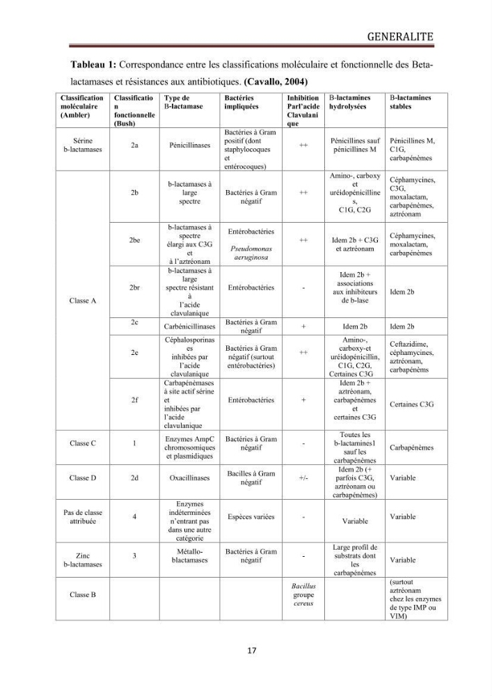 Caractérisation des mécanismes de résistance aux béta-lactamines chez des bactéries à Gram négatif isolées des eaux usées et aux traitées de la STEP de Boumerdes