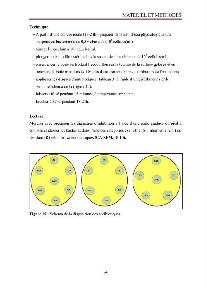 Caractérisation des mécanismes de résistance aux béta-lactamines chez des bactéries à Gram négatif isolées des eaux usées et aux traitées de la STEP de Boumerdes